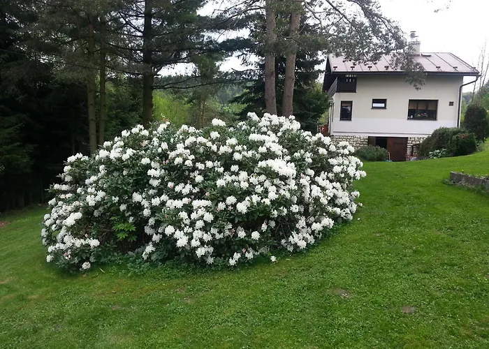 Tatil Evi Ostrov - Eiland V Srdci Ceskeho Svycarska *